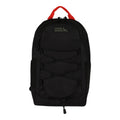 Varsity 22L Backpack