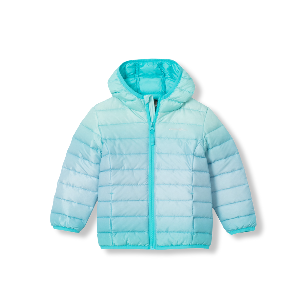 Toddler Cirruslite Down Hooded Jacket