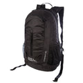 Stowaway Packable 20L Daypack